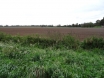 dsc00128