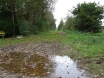 dsc00135