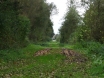 dsc00137