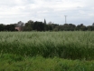 dsc00138