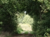 dsc00168