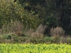 dsc00170