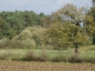 dsc00172