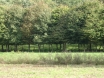 dsc00173