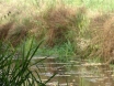 dsc00176