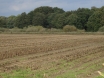 dsc00178