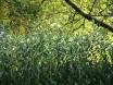 dsc00179