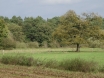 dsc00180