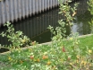 dsc00186