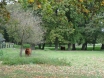 dsc00195