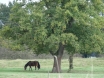 dsc00200