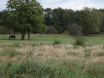 dsc00201