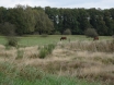 dsc00202