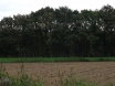dsc00218