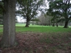 dsc00220