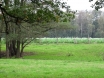dsc00221