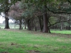 dsc00222