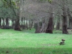 dsc00223
