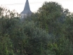 dsc00224