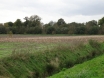 dsc00248