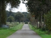 dsc00251