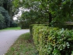 dsc00262